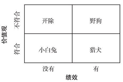 白兔員工有那么糟糕嗎？被馬云史玉柱嫌棄，周鴻祎也要清理了