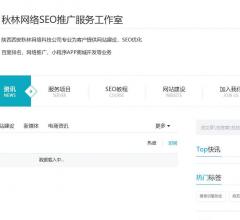 西安秋林SEO網(wǎng)絡(luò)推廣
