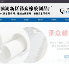 衡水濱湖新區(qū)澤眾橡膠制品廠